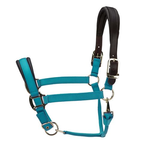 Shires ARMA Premium Nylon Halter w/Leather Padding - Teal
