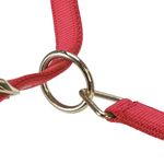 Main