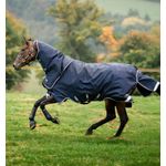 Main