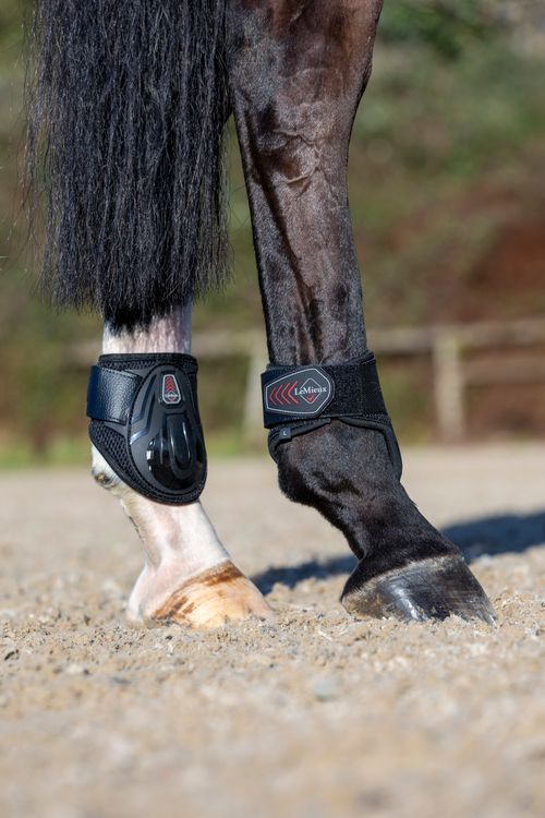 LeMieux Derby Projump Fetlock Boots - Black