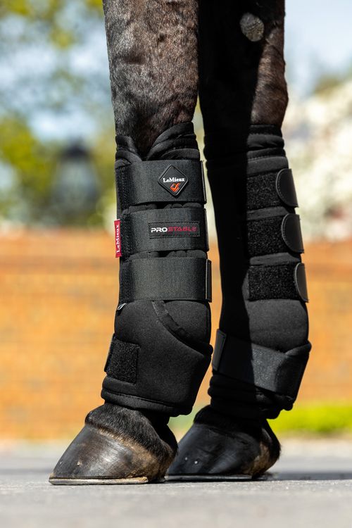 LeMieux Stable Boots - Black