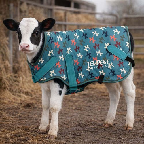 Shires Tempest Original Calf Coat - Balloon Dog