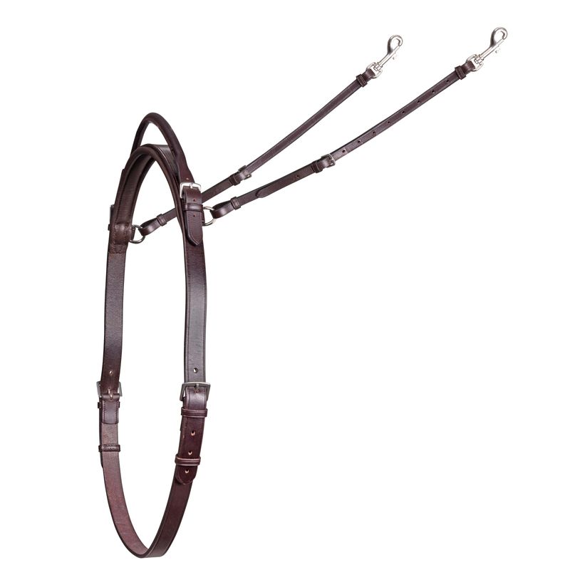 Main