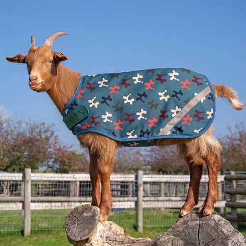Shires Tempest Goat Rug 200 - Balloon Dog