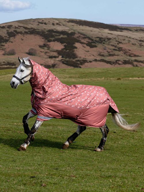 LeMieux Arika Star Turnout Rug 200g - Spiced Earth