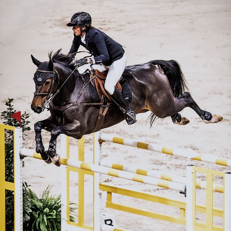 Main