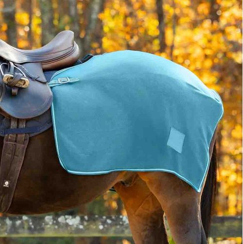 Equinavia Norse Fleece Exercise Quarter Sheet - Lyons Blue
