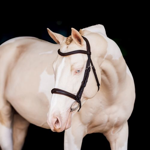 Shires Velociti Lusso Raised Padded Bridle - Black