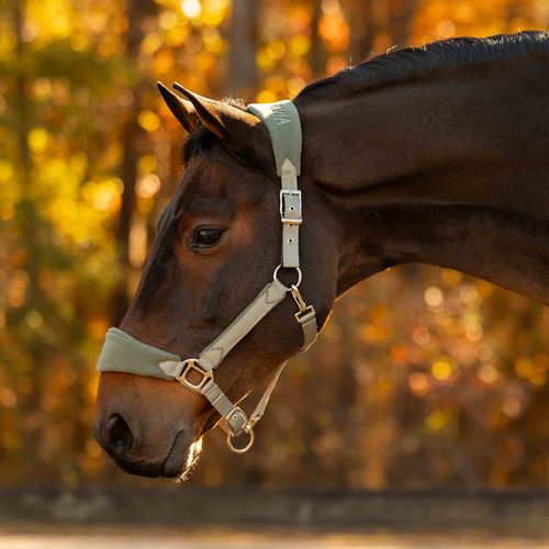 Equinavia Saga Fleece Padded Breakaway Halter - Lily Pad/Thyme