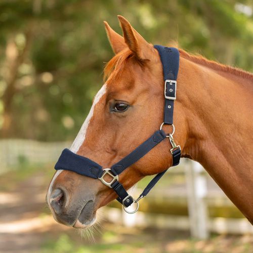 Equinavia Saga Fleece Padded Breakaway Halter - Navy/Navy