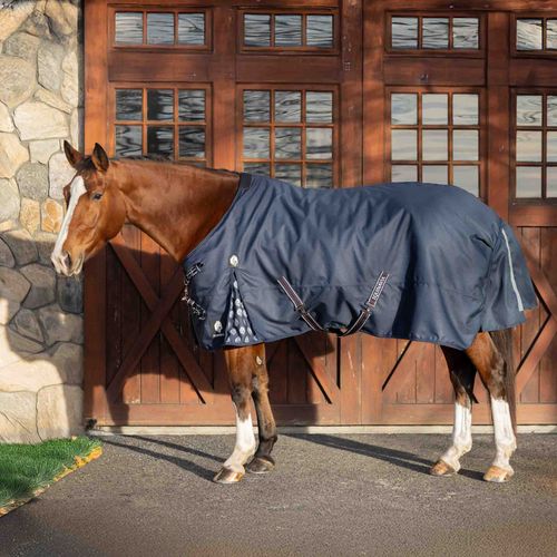 Equinavia Arktis TransitionFlex Turnout Blanket - Navy