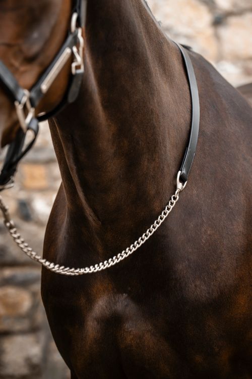 Horseware Signature Lead w/Chain - Black
