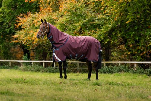 Amigo Bravo 12 Plus Turnout  400g - Burgundy/Navy/Titanium Grey