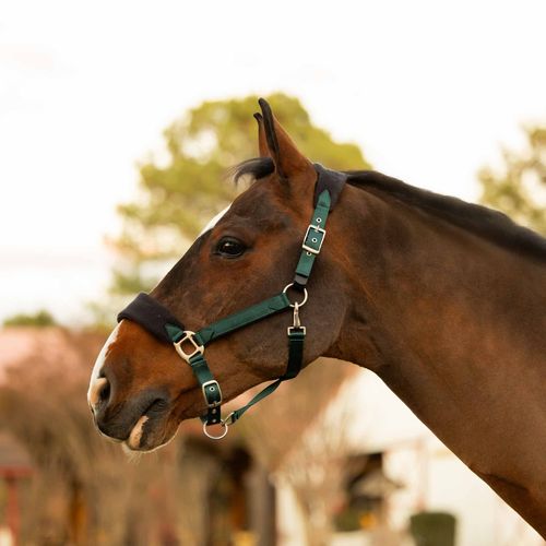 Equinavia Saga Fleece Padded Breakaway Halter - Hunter Green/Black