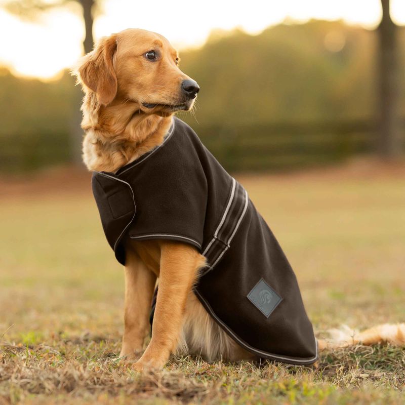 Main