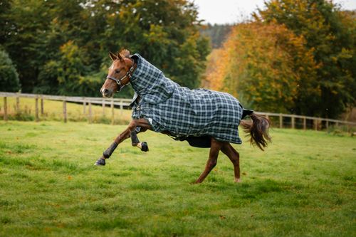 Rhino Plus Turnout Lite 100g - Hunter Check/Green/Navy