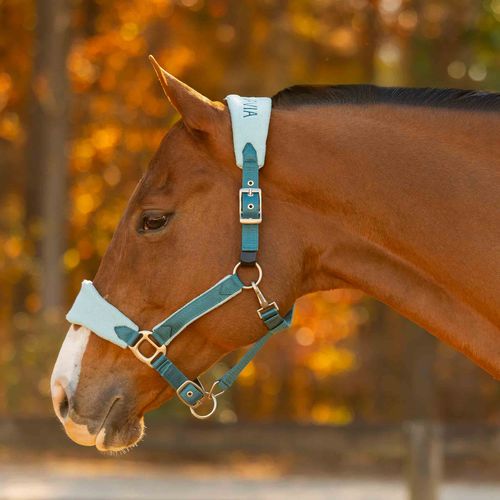 Equinavia Saga Fleece Padded Breakaway Halter - Lyons Blue/Glacier Blue
