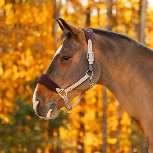 Equinavia Saga Fleece Padded Breakaway Halter - Desert Taupe/Dark Brown