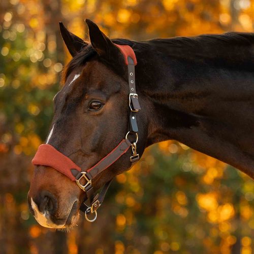 Equinavia Saga Fleece Padded Breakaway Halter - Dark Brown/Chili Oil Red