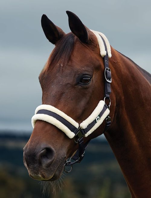 Dublin Soft Fit Breakaway Headcollar - Navy