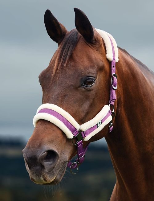 Dublin Soft Fit Breakaway Headcollar - Dark Purple
