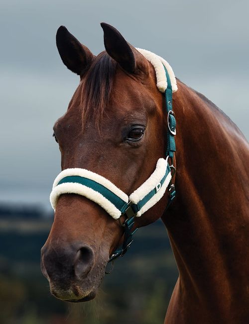 Dublin Soft Fit Breakaway Headcollar - Green