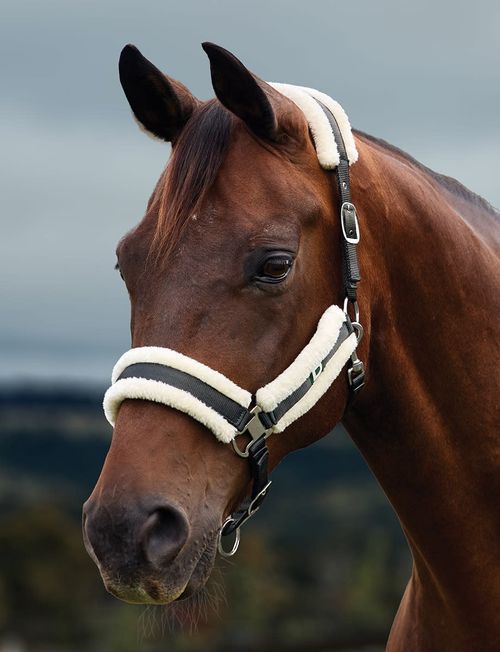 Dublin Soft Fit Breakaway Headcollar - Grey