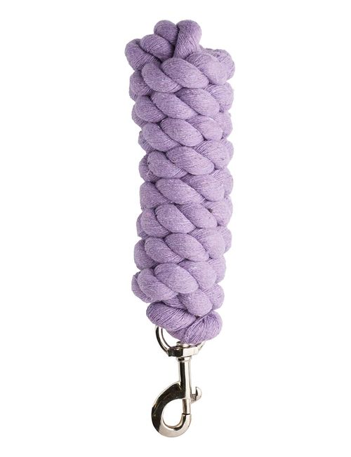 Dublin Everyday Lead - Purple
