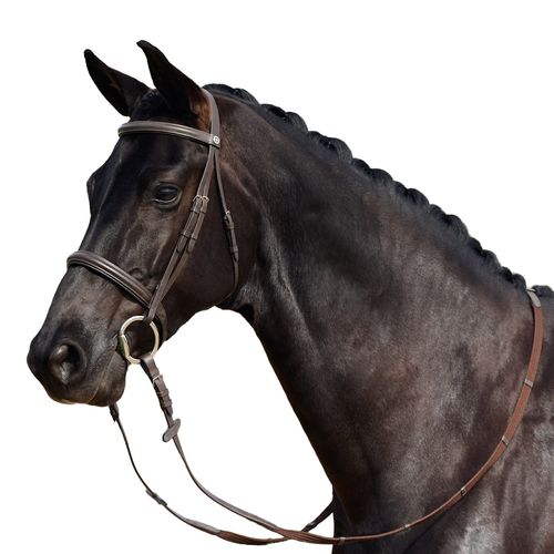 Dublin Padded Cavesson Bridle - Brown