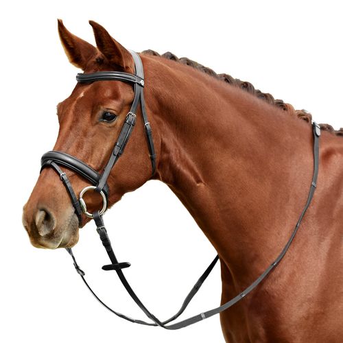 Dublin Padded Mono Crown Flash Bridle - Black