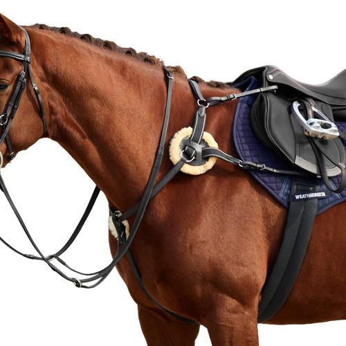 Dublin 5-Point Event Breastplate - Black