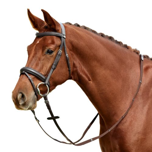 Dublin Padded Mono Crown Flash Bridle - Brown