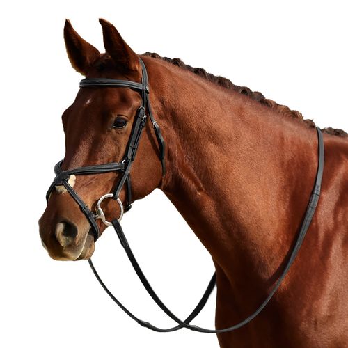 Dublin Padded Mono Crown Fancy Stitch Grackle Bridle - Black