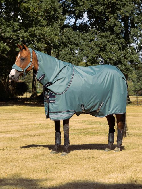 LeMieux Arika 600D Ripstop 200g Turnout Blanket - Aloe