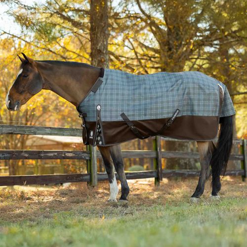 Equinavia Arktis Regular Neck Mid Weight Turnout Blanket 200g - Dark Brown/Thyme