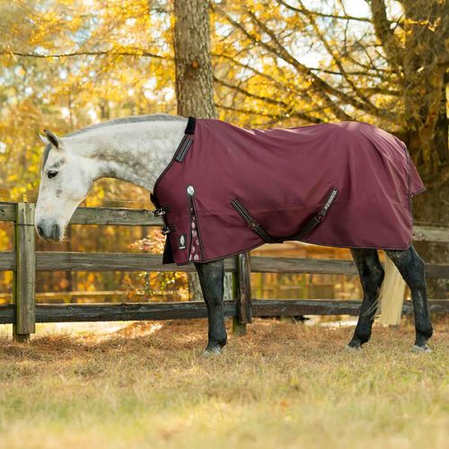 Equinavia Norse Turnout Sheet - Burgundy