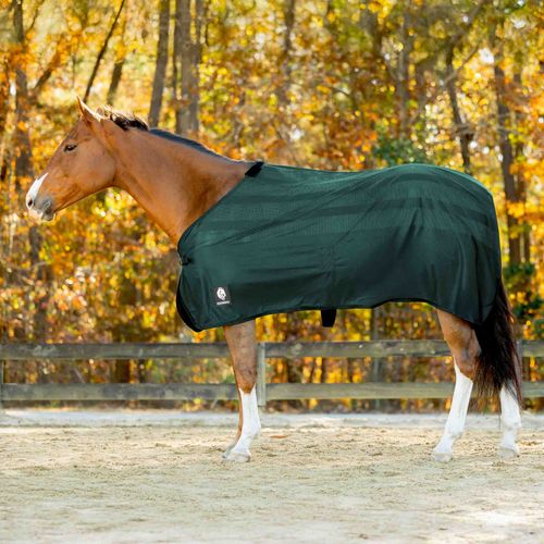 Equinavia Sefyr Scrim Sheet - Hunter Green