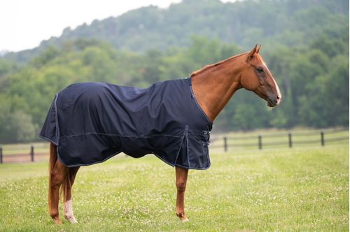 Ovation 1200D Sequoia Turnout Blanket 300g - Navy