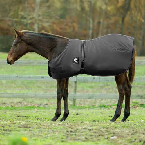 Equinavia Norse Foal Turnout Sheet - Black