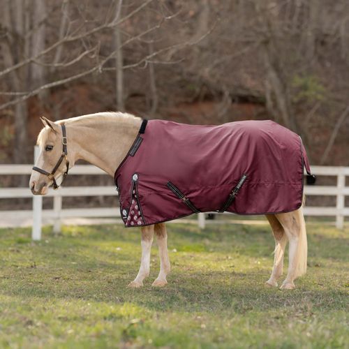 Equinavia Norse Pony Turnout Blanket 100g - Burgundy