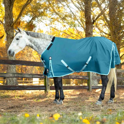Equinavia Arktis Regular Neck Turnout Sheet - Lyons Blue