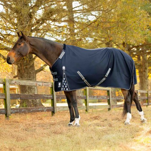 Equinavia Arktis Regular Neck Mid Weight Turnout Blanket 200g - Navy