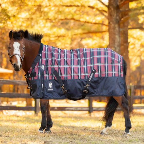 Equinavia Norse Pony Turnout Sheet - Navy/Burgundy