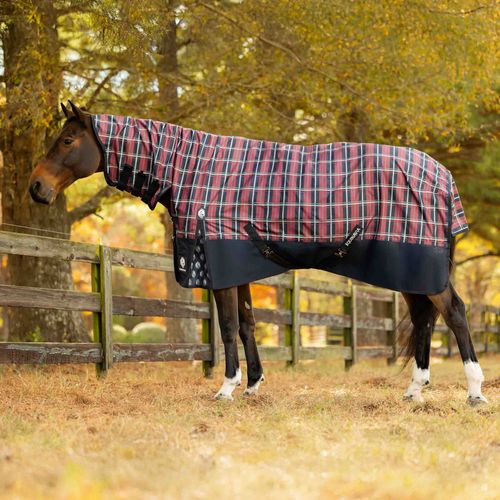 Equinavia Norse Full Neck Turnout Blanket 100g - Navy/Burgundy
