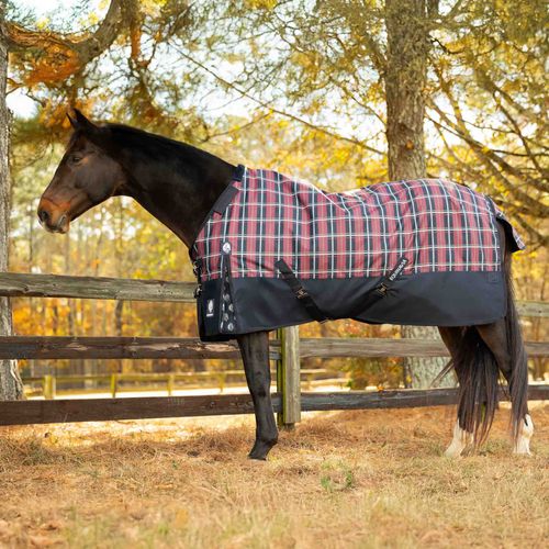 Equinavia Norse Turnout Sheet - Navy/Burgundy