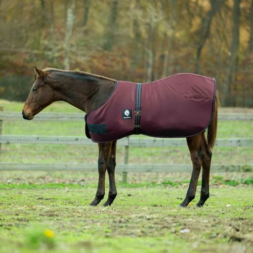 Equinavia Norse Foal Turnout Blanket 200g - Burgundy