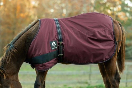 Equinavia Norse Foal Turnout Sheet - Burgundy