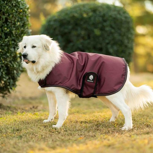 Equinavia Norse Dog Turnout Sheet - Burgundy