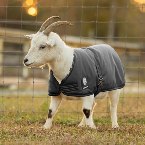 Equinavia Norse Waterproof Goat Coat 0g - Black