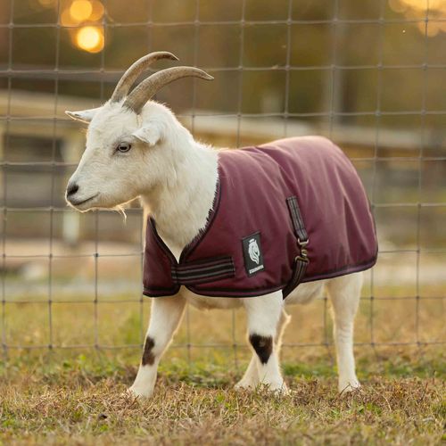 Equinavia Norse Waterproof Goat Coat 0g - Burgundy